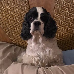 Meet your Posher, Karen